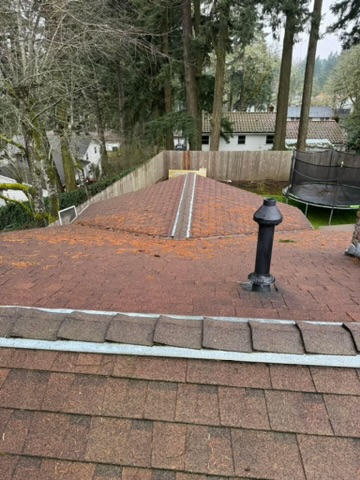 Roof covered in moss, algae, and debris before professional cleaning in Salem, Oregon.